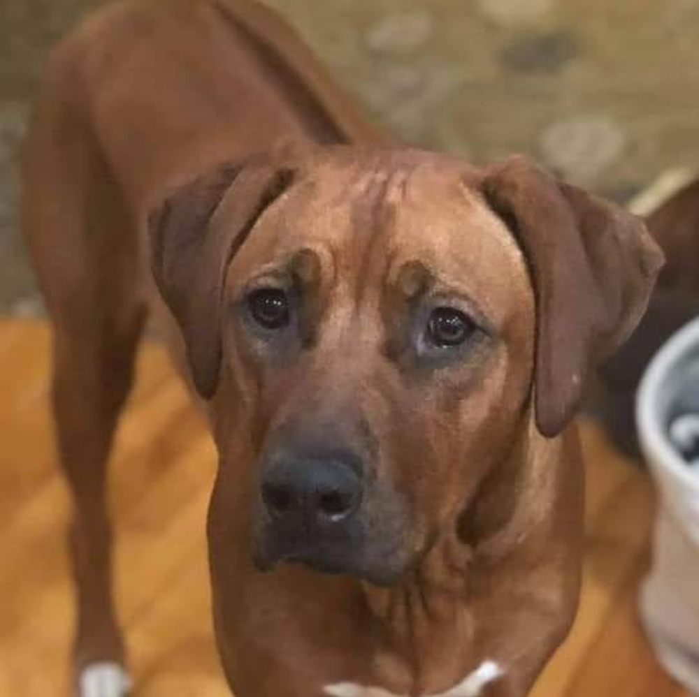 Meet your Posher, Xena araminta